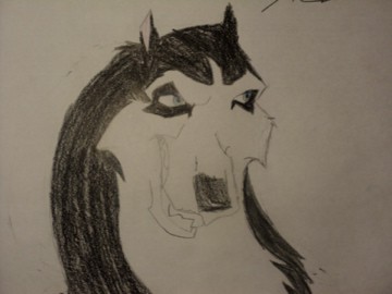 A Steele Drawing