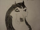 A Steele Drawing