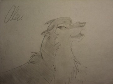Aleu!!!