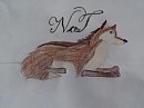 The One, The Only, NaT! 