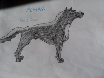 Achak (Gift for Draco)
