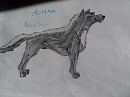 Achak (Gift for Draco)