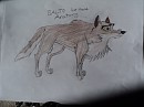 Rough Drawing Of Balto Anatomy #1