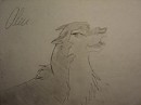 Aleu!!!