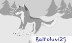baltoluv125