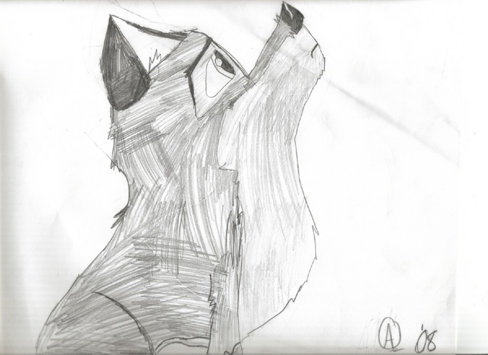 balto