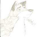 Balto