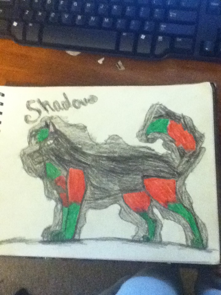 Shadow 