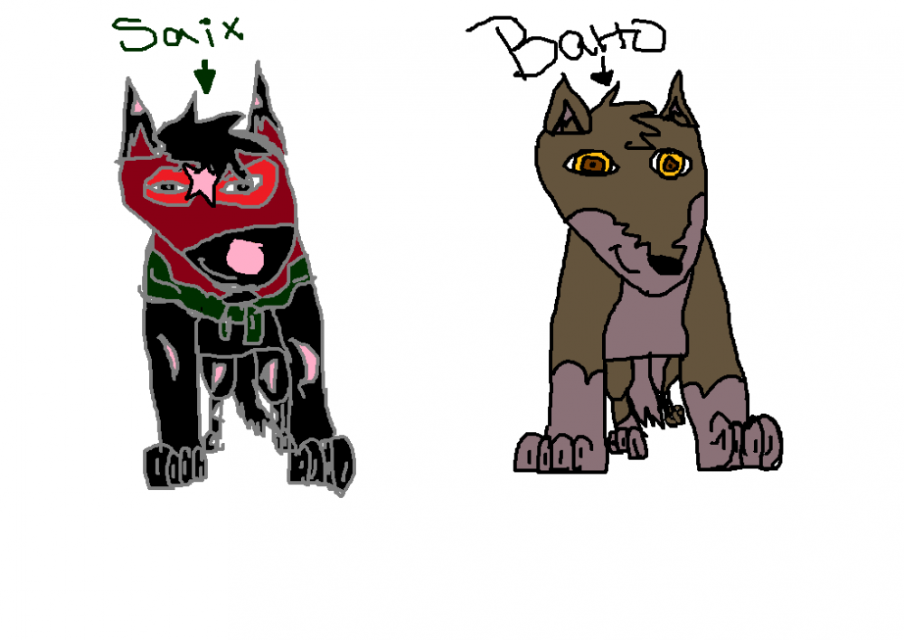 Saix and Balto met O: 