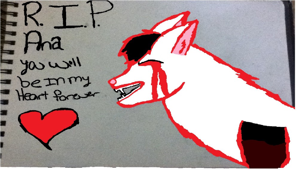 For Ana and a Friend 