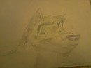 Balto ish happy 