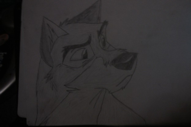 Balto the outsider 