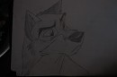 Balto the outsider 