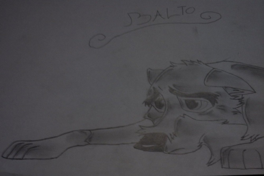 The worlds cutest Balto