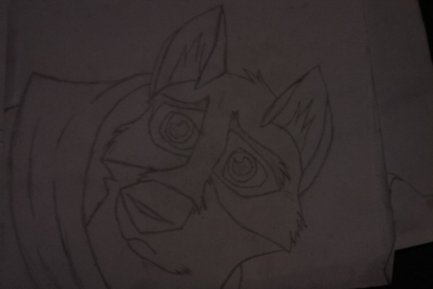 Balto Sketch 