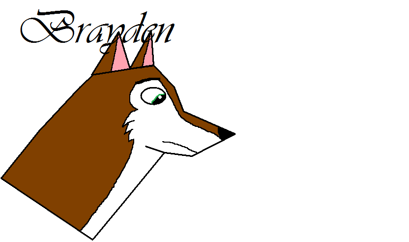 Brayden