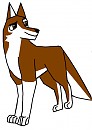 Gift for Cool Kodi Wolf