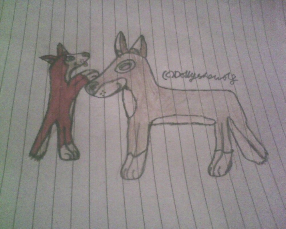 Saba as a pup 