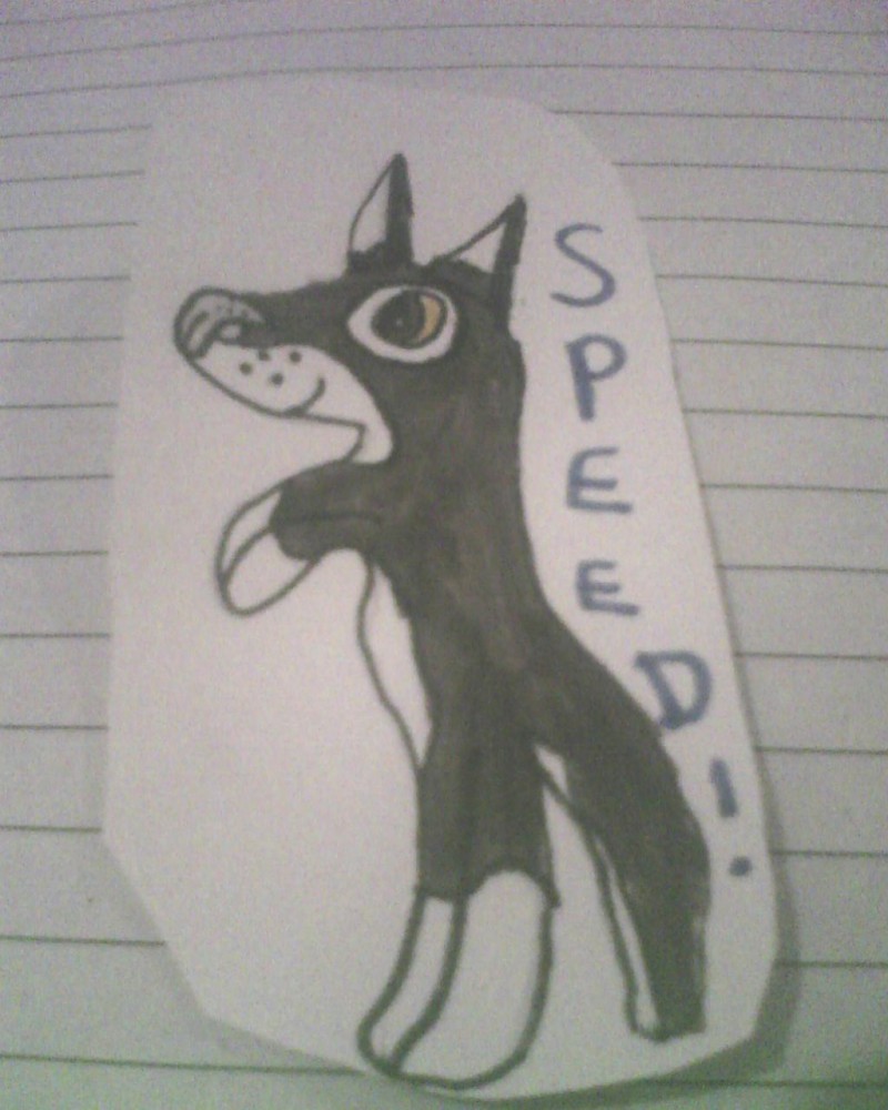 a quick speed drawing 