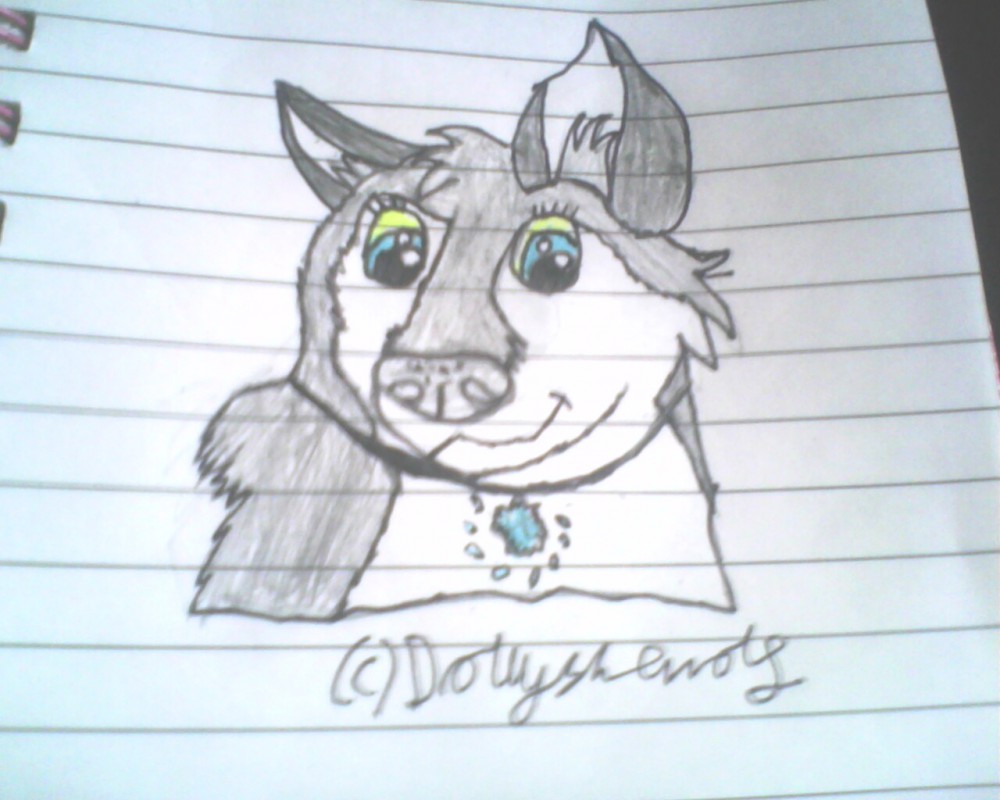 Amyloup 