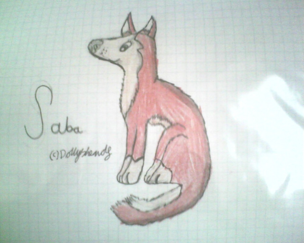 A Saba drawing again 