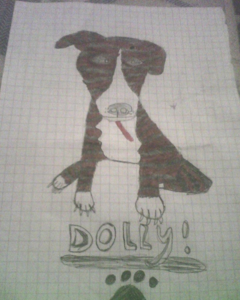 My dog Dolly 