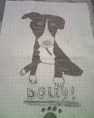 My dog Dolly 