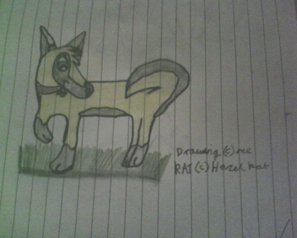 Gift for hazel Kat 