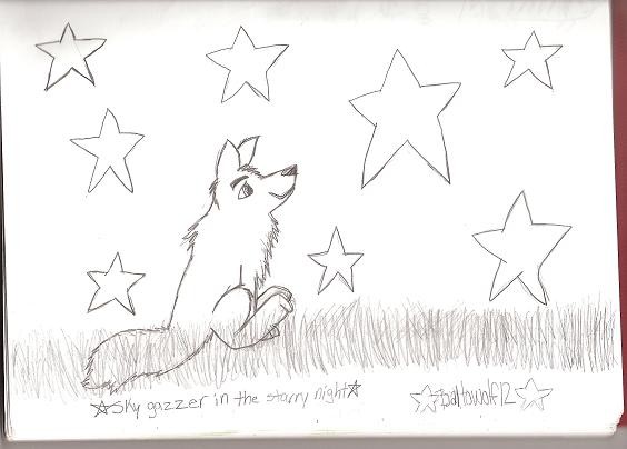 Star gazer