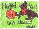 Balto carved a pumpkin!