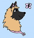 Kat icon