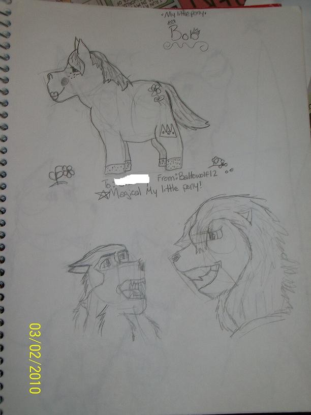 Balto, Bob, and Simba