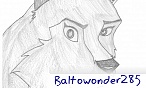 BaltoWonder285