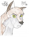 Aleu
