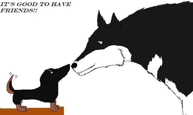 Bama and a puppy
