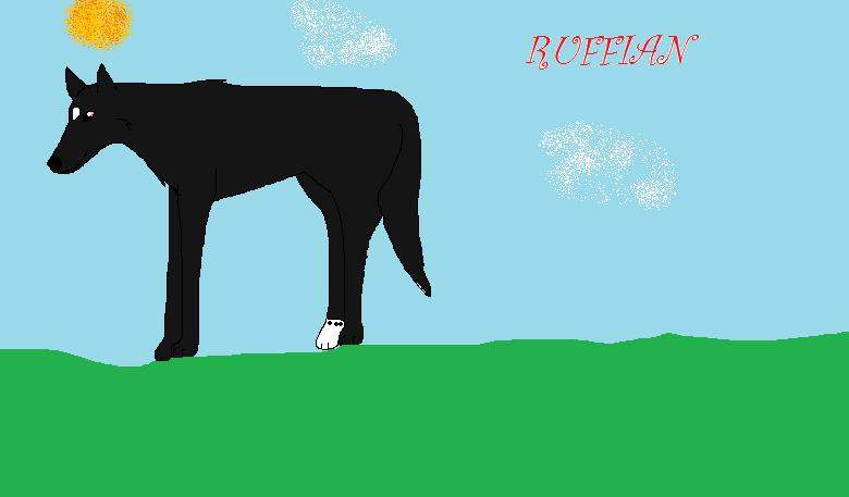 RUFFIAN