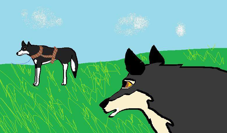 Balto sees bama