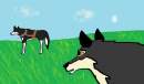 Balto sees bama