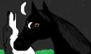 horse and wolf