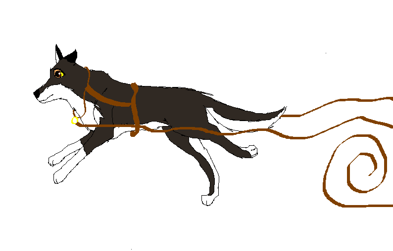 balto running