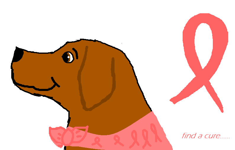June Supports Breast Cancer Awarness