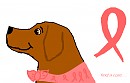 June Supports Breast Cancer Awarness
