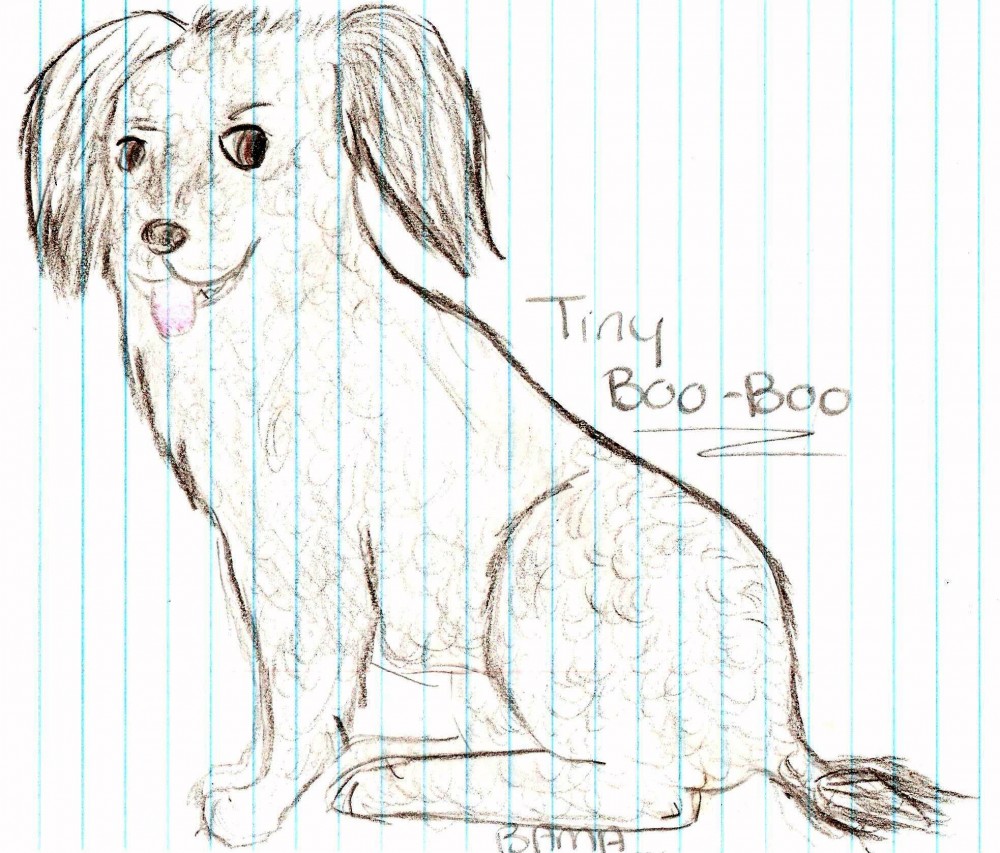 Tiny Boo-Boo