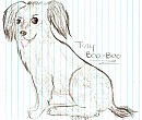 Tiny Boo-Boo