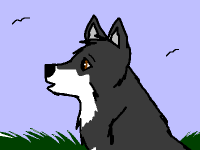 Bama as a pup