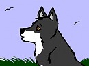 Bama as a pup