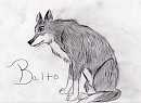Balto
