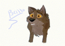 balto pic that took forever