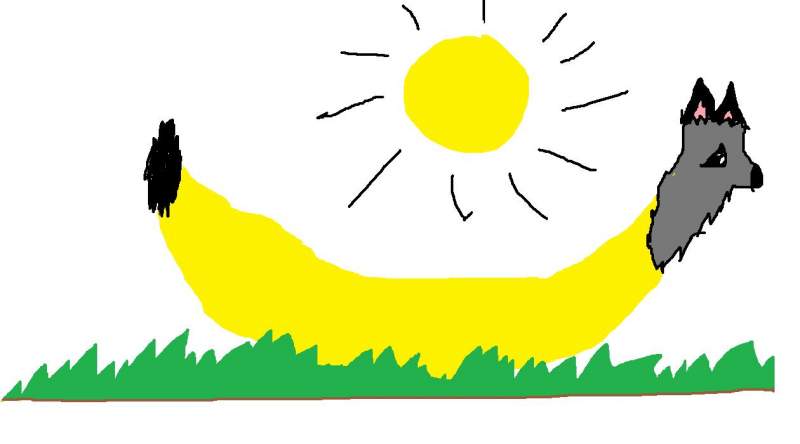 Banana Wolf