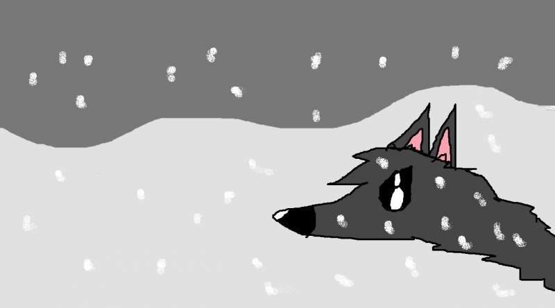 balto in snow